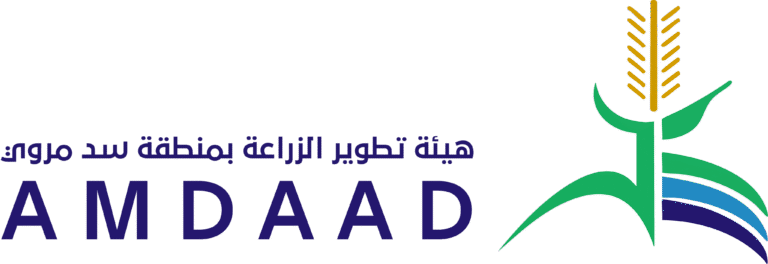 36eecf104be717a206c59e761c15058da8606c8b-5-1-768x264